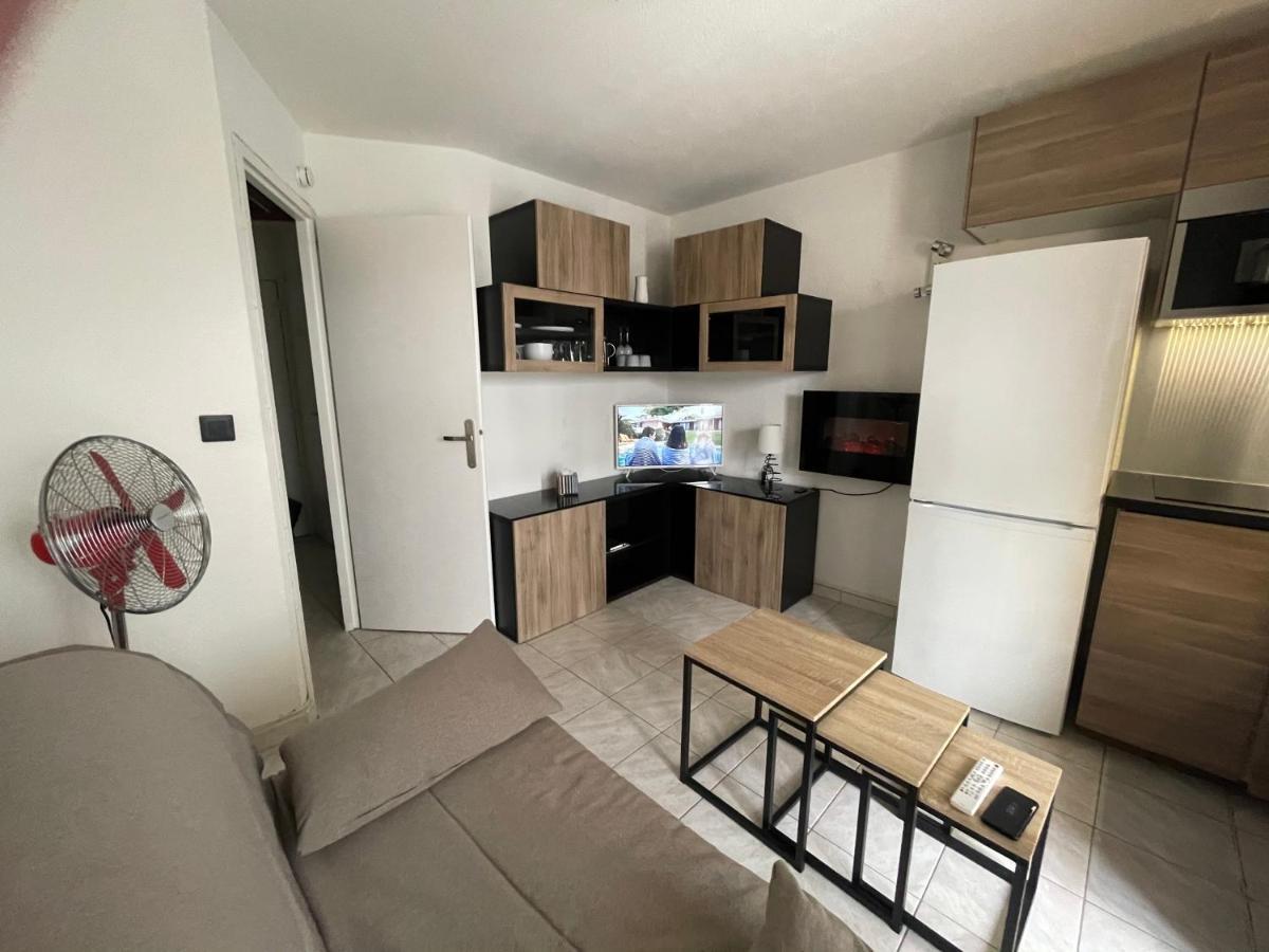 La Grande Roue Vue Magnifique Appartement *