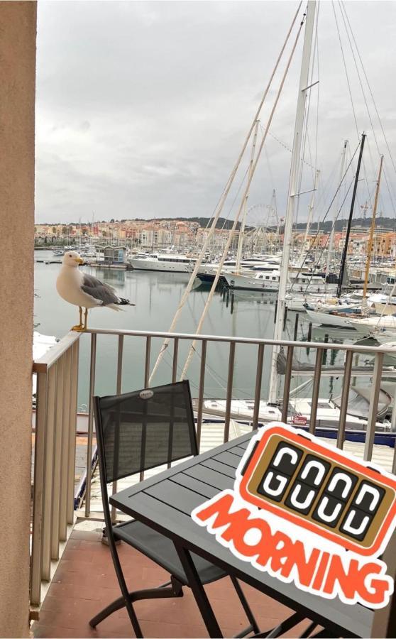 La Grande Roue Vue Magnifique