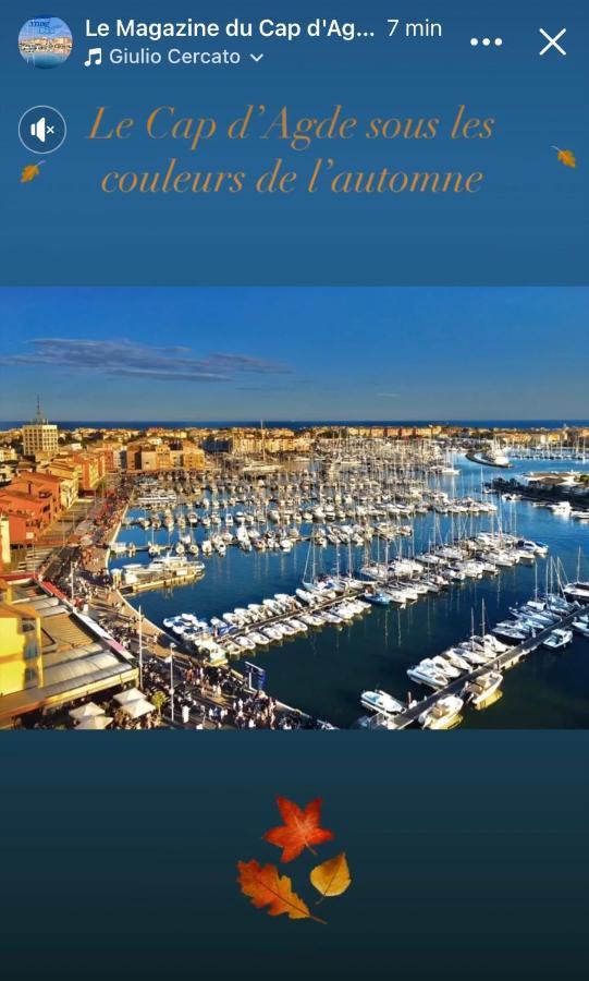 La Grande Roue Vue Magnifique *
